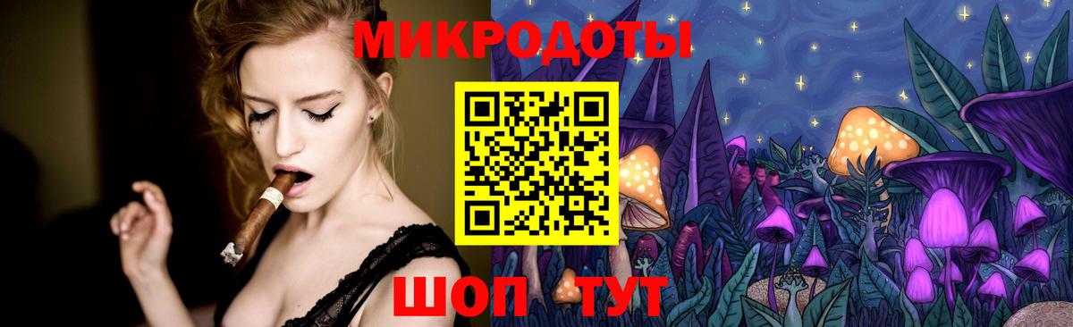 Псилоцибиновые грибы Cubensis Нижний Тагил