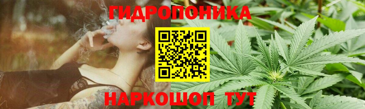 Марихуана White Widow  Вход с VPN  Нижний Тагил  Каннабис планчик  Канабис SATIVA & INDICA 